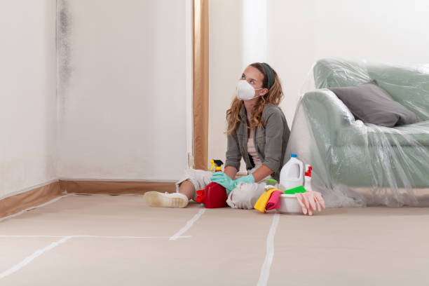 Reliable Mold Remediation contractor in Topping, VA by WQB Mold Removal